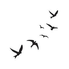 a flock of birds flying across a white sky