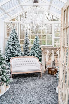 Greenhouse, Christmas minis, Christmas decor, rustic Christmas, light and airy photography, light and airy photographer, Christmas tree farm, prospect farms, white Christmas Christmas Greenhouse, How To Decorate For Christmas, Greenhouse Pictures, Winter Wonderland Christmas Party, Garden Shed Interiors, Wonderland Decor, Christmas Party Ideas, Decorate For Christmas, Home Greenhouse