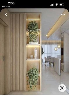 the shelves are filled with plants and potted plants in front of a dining room table