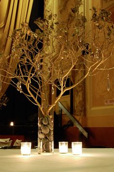 a vase with some branches and candles on a table