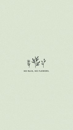 the words no rain, no flowers written in black ink on a light green background