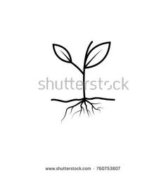 a black and white drawing of a sprout with roots on a white background