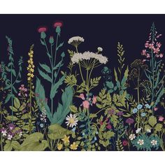 an illustration of flowers and plants in the night sky with dark blue skies behind them