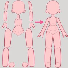 an image of a doll with different body shapes