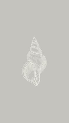 a drawing of a shell on a gray background