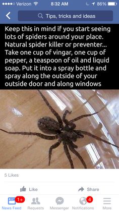 a spider sitting on top of a wooden table