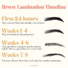 This is a general idea of how a lamination looks between appointments. The photos you see online are taken right after the service which means brows will actually look a little softer by the next day. I hope this rough timeline helps. I don't believe in going in to an appointment blind - I want you to have all the info up front! 🥳 I know the idea of a lamination can be a little scary. Especially when the internet loves to give us extreme examples and horror stories 😒 I hope this timeline he... Brow Lamination Before And After, Brows Lamination, Glam Lashes, Brow Studio, Esthetician Marketing, Brow Artist, Brow Lamination, New Growth, Ethereal Beauty