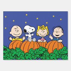 peanuts and the gang pumpkin patch by peanuts