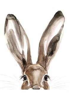 a watercolor painting of a rabbit's face