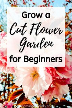 pink flowers with the words grow a cut flower garden for beginners on top of it