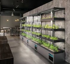 an indoor garden with plants growing in the shelves and on the wall, next to a bar