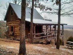 an old log cabin sits in the woods