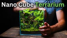 a man holding an aquarium in his hands with the caption nano cube terrarium