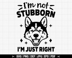 a black and white husky dog saying i'm not stubborn, i'm just right