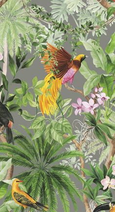 Tropical Bird Peel & Stick Wallpaper in Grey Drops Patterns, Wall Kitchen, Tropical Bird, Bird Wallpaper, Peel Stick Wallpaper, Tropical Birds, Drawer Liner, Grey Wallpaper, Burke Decor