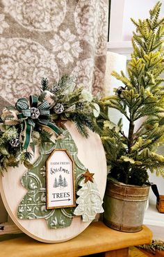 two potted trees sitting on top of a wooden shelf