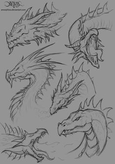 some drawings of different types of dragon heads