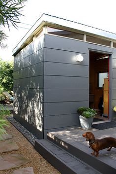 a dog is standing on the steps in front of a small house with a door open