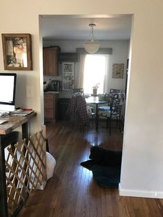 a dog laying on the floor in front of a computer desk with a monitor and keyboard