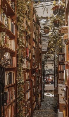 an alley way with lots of books and plants growing on the shelves in front of it