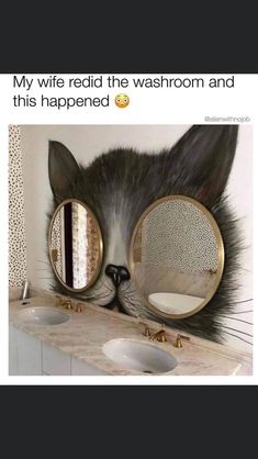 a cat with two mirrors on it's face and the caption reads, my wife ridd the washroom and this happened