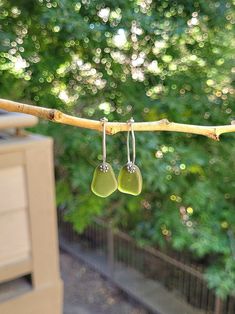 two green earrings hanging from a tree branch