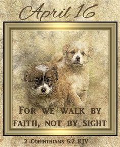 two puppies sitting next to each other with the words for we walk by faith not by sight