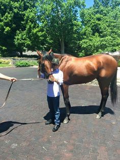 a woman holding the reins of a brown horse