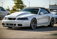 a white mustang parked in a parking lot next to other cars