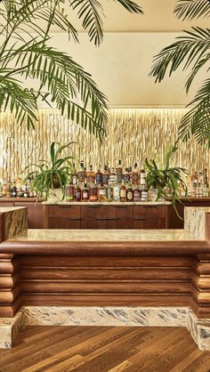 the bar is decorated with palm trees and liquor bottles