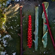 three different types of candles sitting on top of a stone slab with moss growing around them