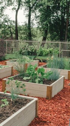 several wooden raised garden beds with plants growing in them