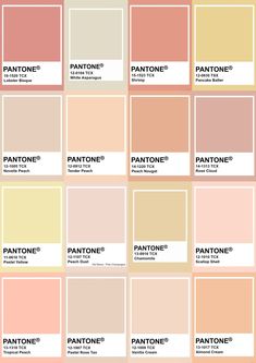 pantone's color swatches with the names and colors for each type of paint