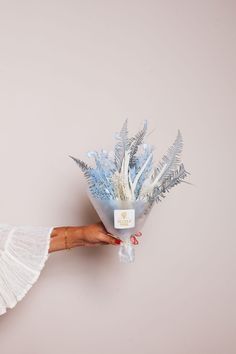 Idlewild Floral Co. Bouquets Cloud Mini Bouquet in Vase Tall Bud Vase, Long Lasting Flowers, Bouquet In Vase, Everlasting Bouquet, New Baby Flowers, Ceramic Bud Vase, Custom Corporate Gifts, Corporate Flowers, Mini Bouquet