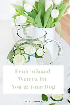 a pitcher filled with sliced cucumbers next to white flowers and text that reads, 2 x delicious & dog safe fruit infused water recipes