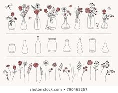 flowers in vases lined up on a white background stock photo and royalty - free