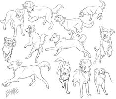 a bunch of dogs that are drawn in pencil