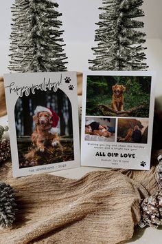 two christmas cards with pictures of dogs on them and pine cones in the foreground