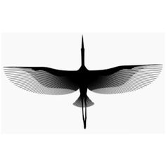 a black and white image of a bird with its wings spread out in the air