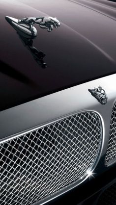 the front grille of a black sports car