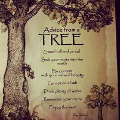 Advice From A Tree, Tree Quotes, Studio Pilates, Enjoy The Ride, Pilates Studio, Pilates Reformer, Tree Stand, Nature Quotes, Trx