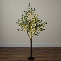 a small tree with lights in it on a wooden floor next to a white wall