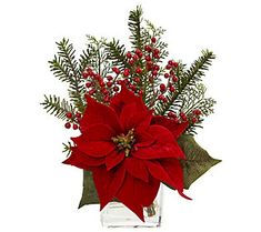 a red poinsettia and greenery in a glass vase