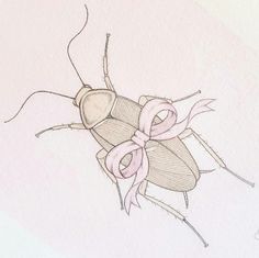 a drawing of a bug with a pink bow on it's back