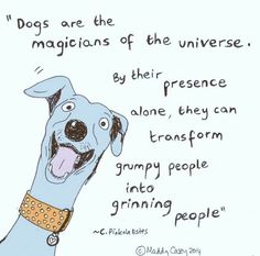 Dogs are the magicians of the universe... Love My Dog, Dog Rules, Crazy Dog, Dogs Of The World, Jolie Photo, Animal Quotes, Dog Quotes, True Story, Dog Care