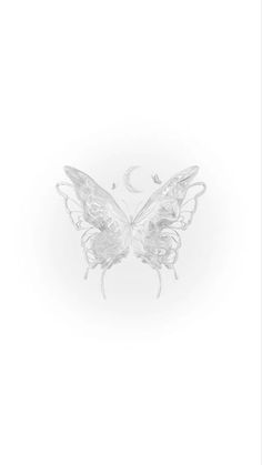 a drawing of a butterfly on a white background