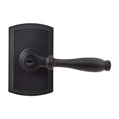 a black door handle with an oval knob