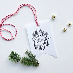 a christmas ornament hanging from a red and white string next to pine cones