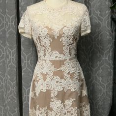 Nwt Elie Saab White And Beige Lace Short Dress, Sz 38 Condition: New With Tags Size: 38 Color: "Gardenia." White And Beige. Materials: Silk, Cotton, Polyamide, Viscose, Acetate Msrp: $4550. 100% Authentic. Please Let Me Know If You Have Any Questions. Thank You! Cream Knee-length Mini Dress For Wedding, Beige Short Sleeve Midi Dress For Wedding, Beige Sheath Midi Dress For Wedding, Beige Lace Trim Mini Dress For Wedding, Cream Evening Dress With Scalloped Lace, Cream Sheath Dress For Wedding, Formal Cream Mini Dress With Short Sleeves, Formal White Mini Dress With Scalloped Lace, Beige Sheath Mini Dress For Wedding