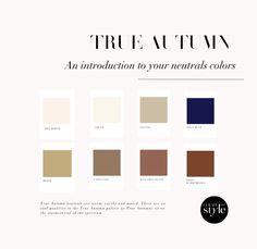 Autumn House Of Colour Outfits, Pretty Websites, House Of Colour, Autumn House, Color Palette Interior Design, Autumn Palette